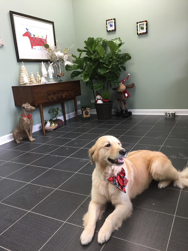 Barks & Bows Dog Spa
