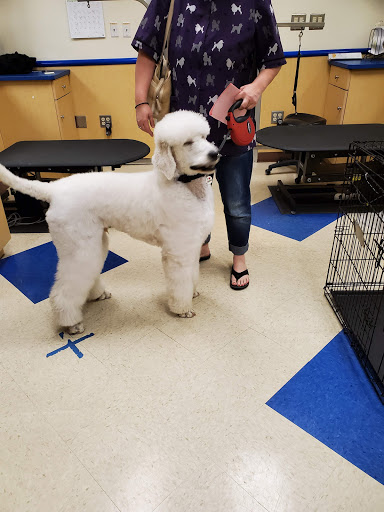 Pet Supply Store «Petsense London», reviews and photos, 1661 KY-192, London, KY 40741, USA