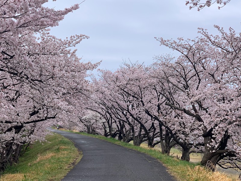 旧東海道 三ツ谷の一里塚