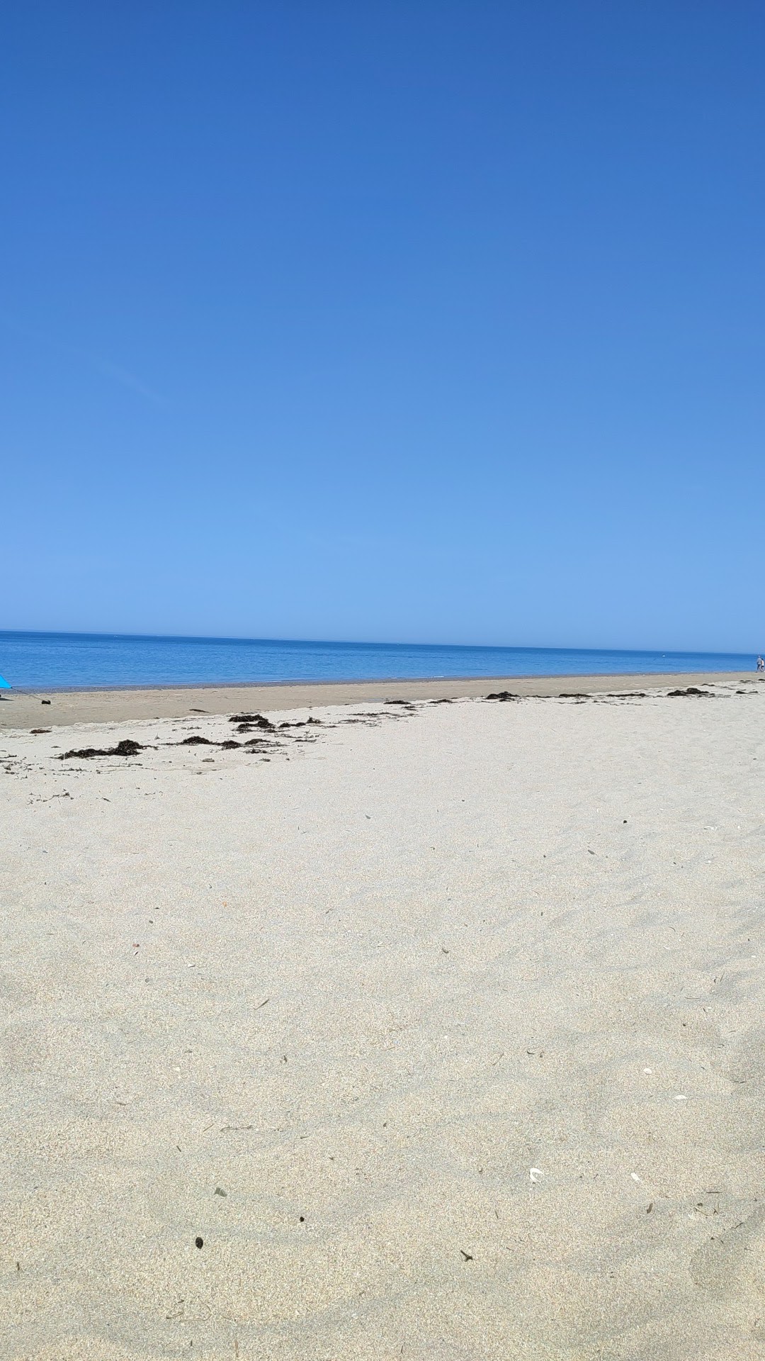 Photo n° 12 de l'avis de Bruno.l fait le 13/08/2022 à 16:51