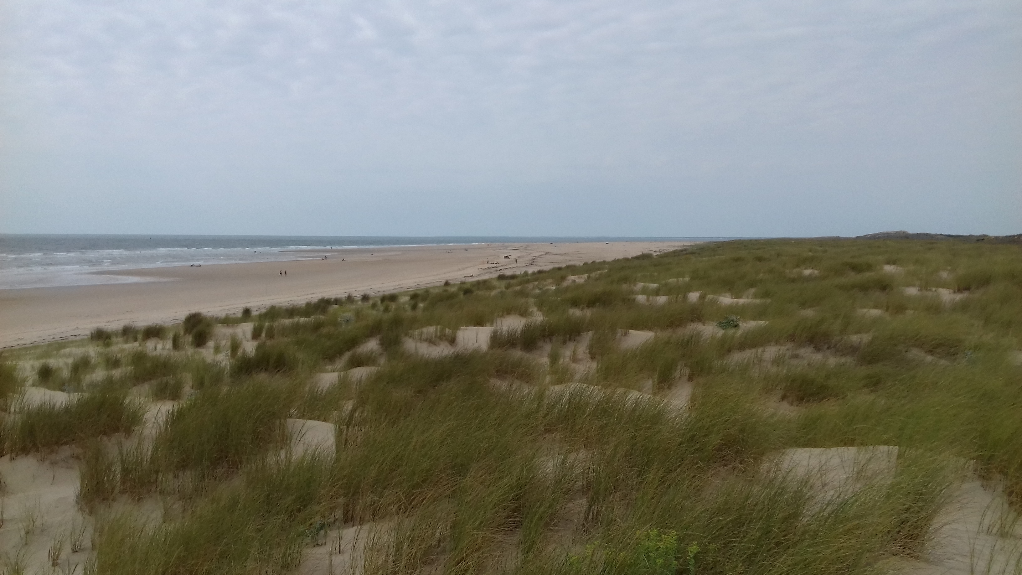 Photo n° 2 de l'avis de C..o fait le 05/08/2019 à 05:20