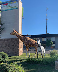 Circle of Care (Corporate Office) - Photo 6 - Car repair in San Antonio, TX, San Antonio