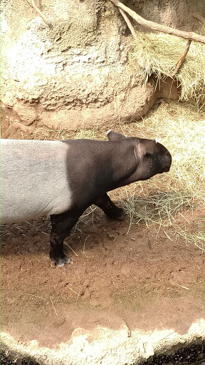 Zoo «Alaskan Adventure Henry Doorly Zoo», reviews and photos, 3701 S 10th St, Omaha, NE 68107, USA