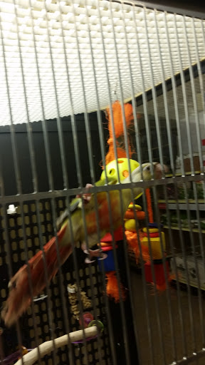 Pet Supply Store «PetSmart», reviews and photos, 1196 W Olive Ave, Merced, CA 95348, USA