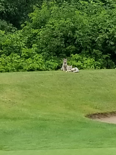 Golf Club «Echo Falls Golf Club», reviews and photos, 20414 121st Ave SE, Snohomish, WA 98296, USA