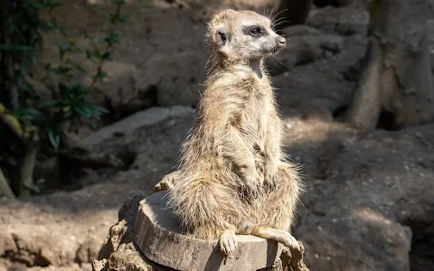 Wittenberg Zoo image