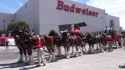 Tourist Attraction «Budweiser Brewery Experience», reviews and photos, 775 Gellhorn Dr, Houston, TX 77029, USA