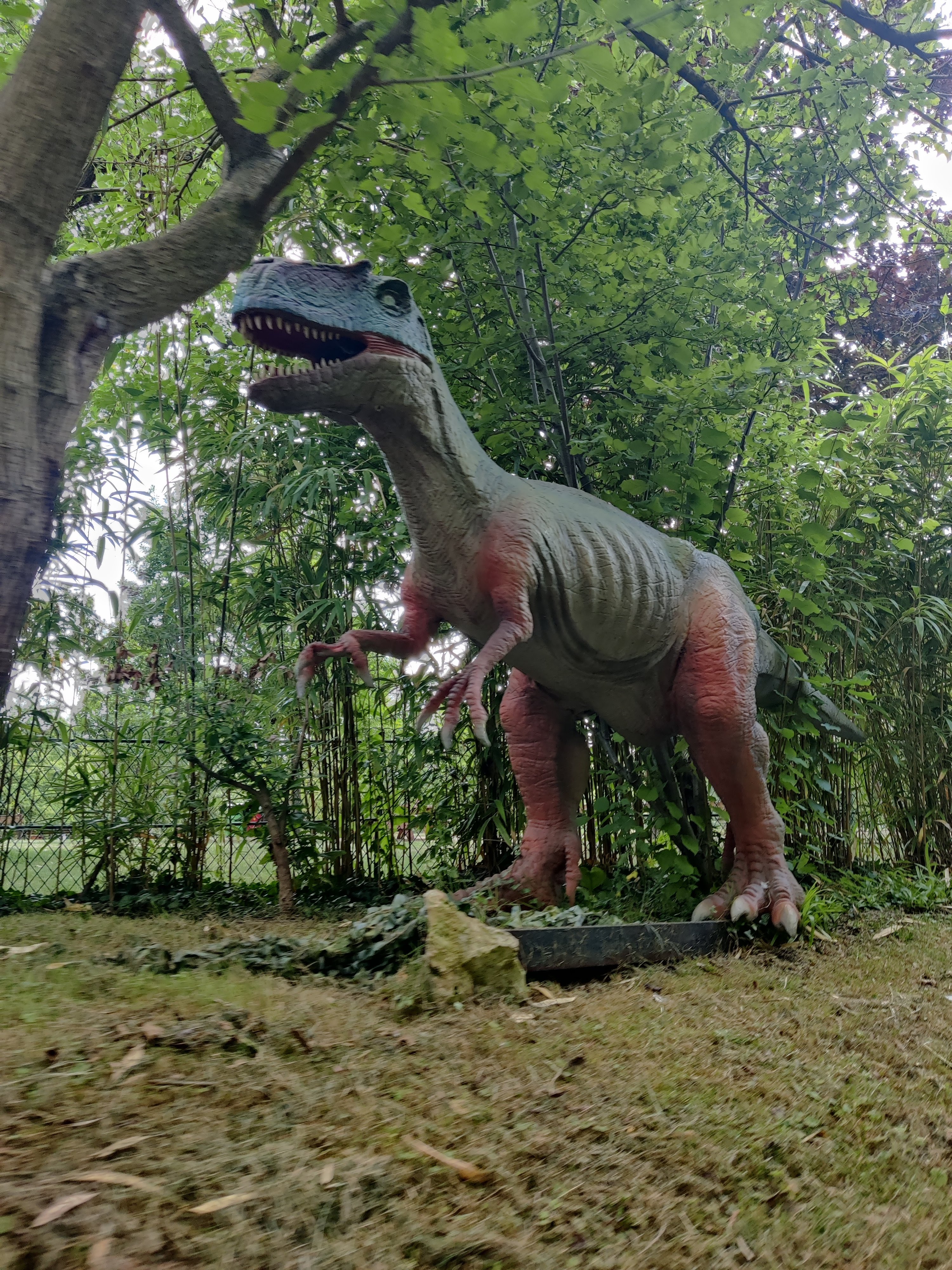 Photo n° 7 de l'avis de Dior.a fait le 14/08/2019 à 20:24