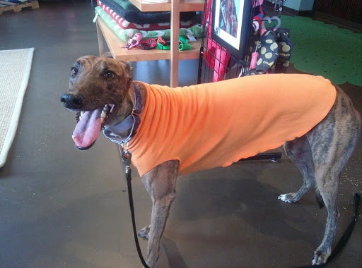 Pet Groomer «ÅSKA Pet Spa & Boutique», reviews and photos, 197 E 7th St, St Paul, MN 55101, USA