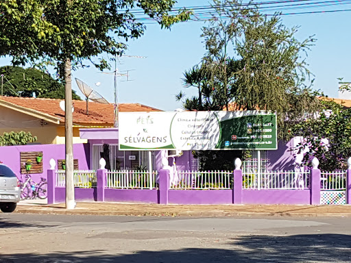 PETS E SELVAGENS em Americana - SP