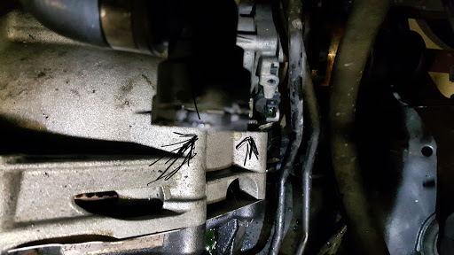 Auto Repair Shop «Florida Transmission & Auto Repair», reviews and photos, 4990 S Orange Ave, Orlando, FL 32806, USA