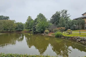 Arboretum and Pond image