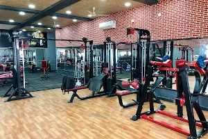 Shape Up Gym - Best gym in banswara image