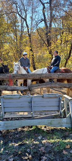Horseback Riding Service «Grandpa Jeffs Trailrides», reviews and photos, 5889 S Skinner Rd, Morgantown, IN 46160, USA