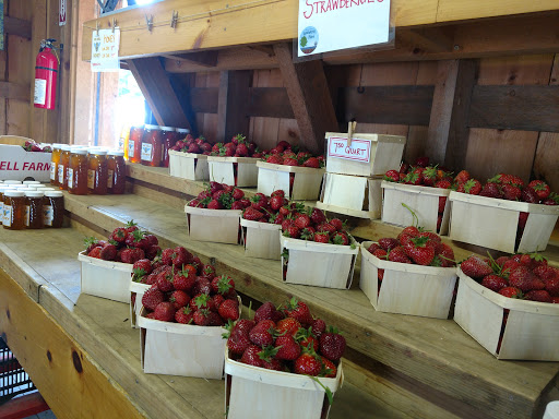 Farm «Langwater Farm», reviews and photos, 209 Washington St, North Easton, MA 02356, USA