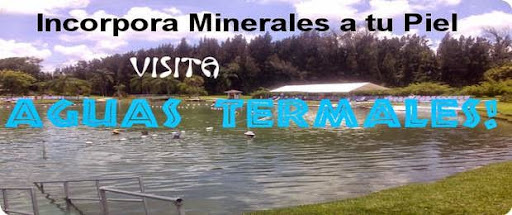 Travel Agency «Gallo Travel Agency», reviews and photos, 7216 SW 8th St #1, Miami, FL 33144, USA