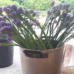 Photo n°3 de l'avis de Mone.c fait le 18/08/2020 à 13:22 sur le  Al Ponte Del Calvario à Gorizia