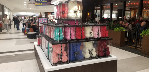 Shopping Mall «Rockaway Townsquare», reviews and photos, 301 Mount Hope Ave, Rockaway, NJ 07866, USA