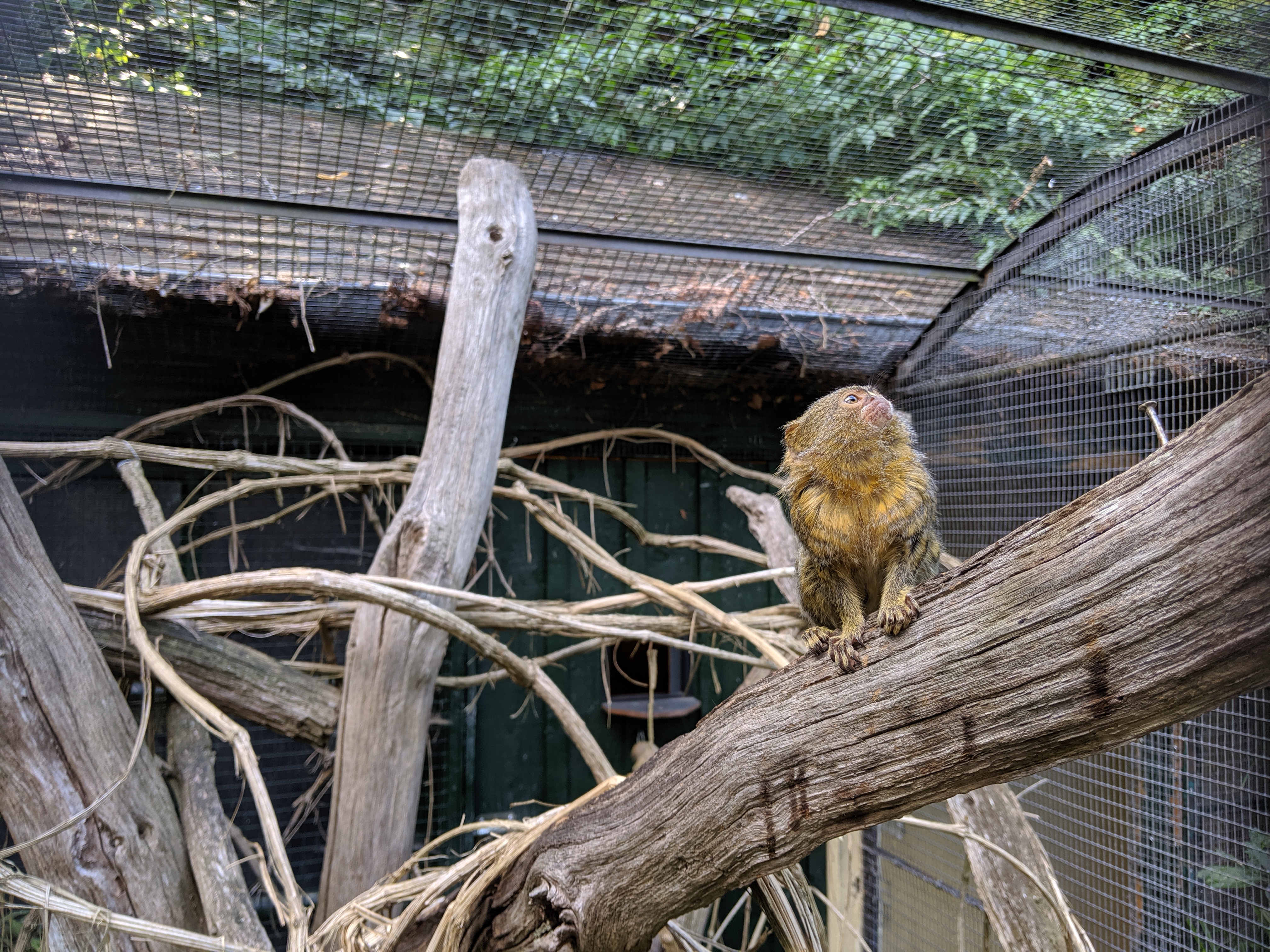 Photo n° 10 de l'avis de Mickael.a fait le 20/08/2019 à 04:46