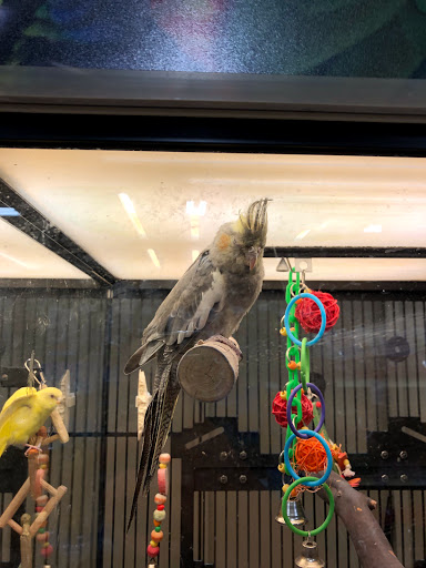 Pet Supply Store «PetSmart», reviews and photos, 139 Radio Dr, Stroudsburg, PA 18360, USA