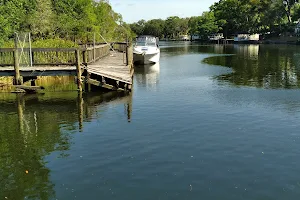 Lowry Park Boat Ramp image