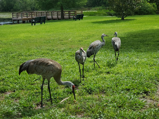 Park «Red Bug Lake Park», reviews and photos, 3600 Red Bug Lake Rd, Casselberry, FL 32707, USA