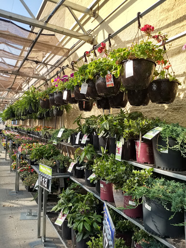 Discount Store «Walmart», reviews and photos, 6501 Veterans Memorial Pkwy, Crestwood, KY 40014, USA