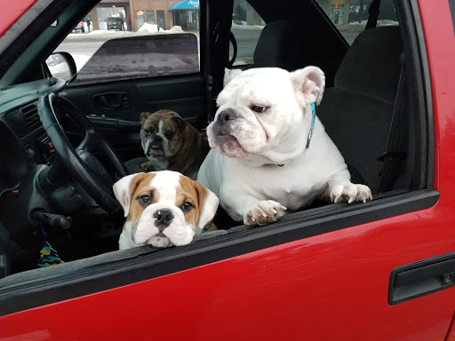 Shopping Mall «Sturgis Plaza», reviews and photos, 753 S Centerville Rd, Sturgis, MI 49091, USA