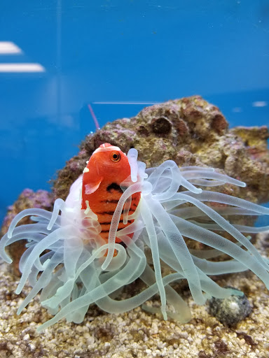 Pet Supply Store «Petco Animal Supplies», reviews and photos, 2910 Wilshire Blvd, Santa Monica, CA 90403, USA