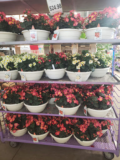 Home Improvement Store «The Home Depot», reviews and photos, 2250 Easton Rd, Willow Grove, PA 19090, USA