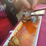 Photo n°3 de l'avis de frank.u fait le 09/08/2021 à 15:28 sur le  L'Ancora à Livorno