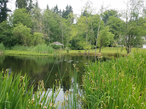 State Park «Bridle Trails State Park», reviews and photos, 5300 116th Ave. N.W., Kirkland, WA 98033, USA