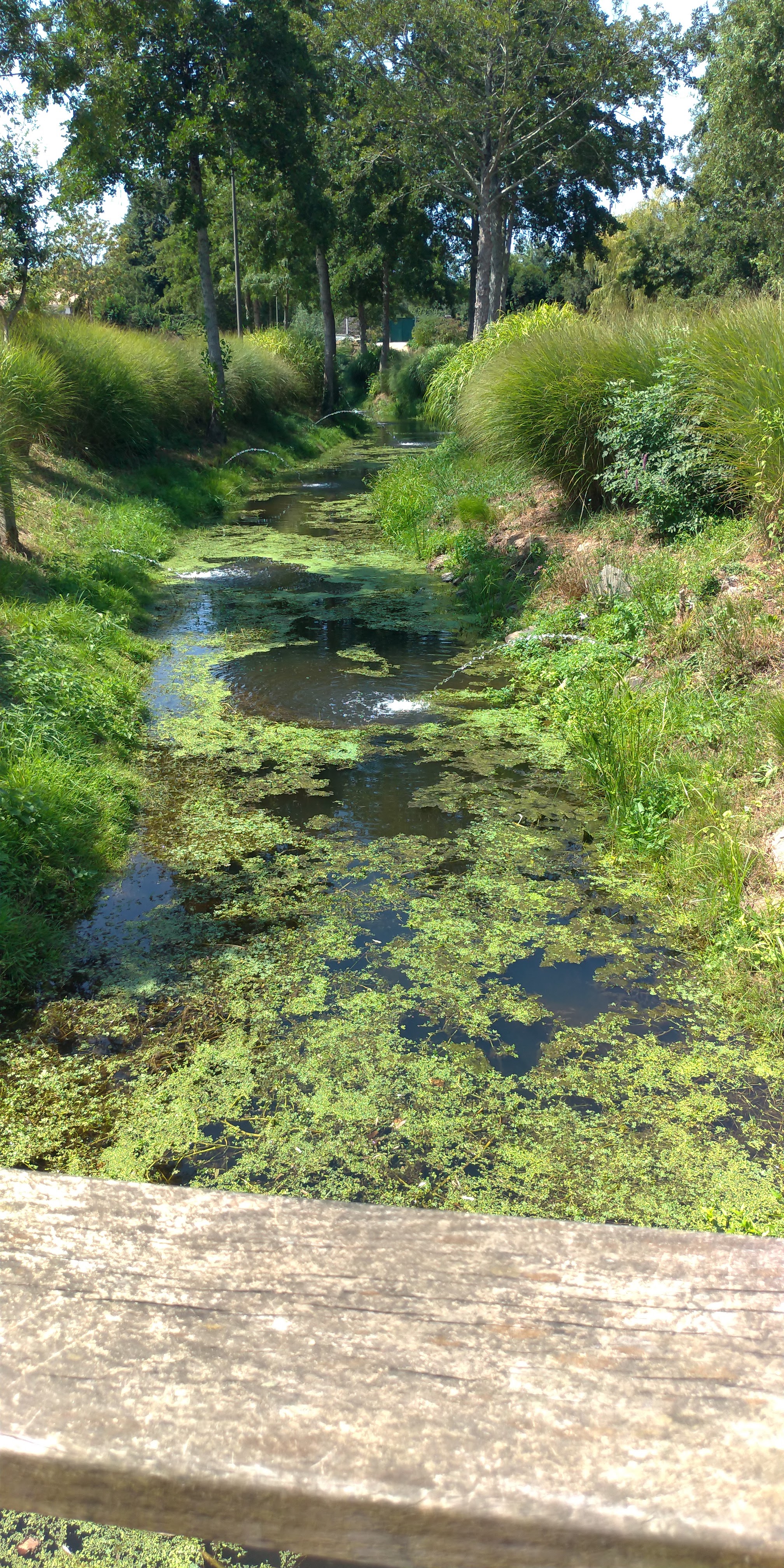 Photo n° 1 de l'avis de Lu.a fait le 07/08/2020 à 12:56