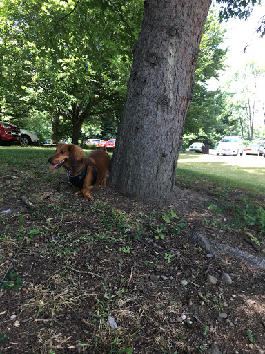 Park «Plum Creek Park», reviews and photos, Cherry St, Kent, OH 44240, USA