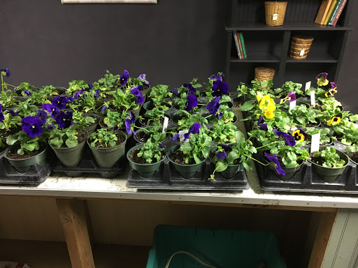 Florist «Star Florist & Greenhouses», reviews and photos, 518 Scheel St, Belleville, IL 62220, USA