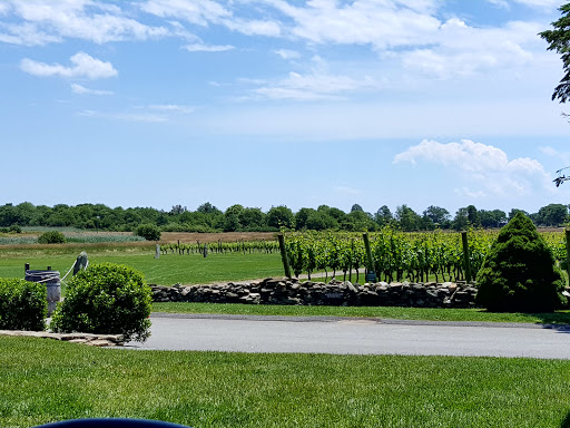 Winery «Newport Vineyards», reviews and photos, 909 E Main Rd, Middletown, RI 02842, USA