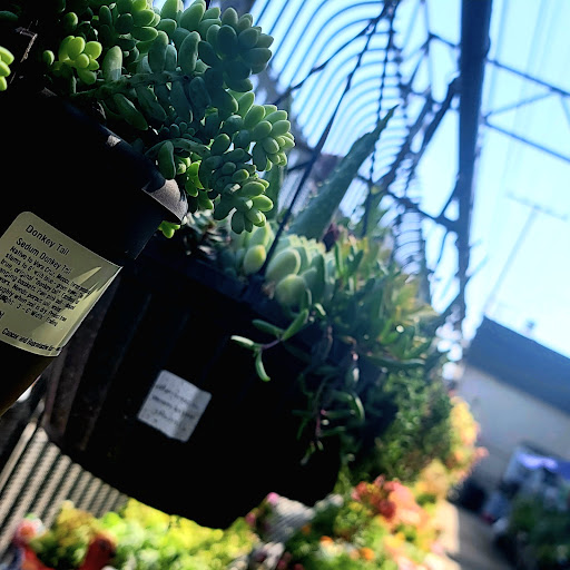 Hardware Store «DIY Center», reviews and photos, 3221 W Magnolia Blvd, Burbank, CA 91505, USA