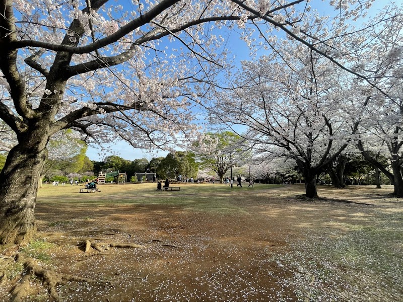 柏の葉公園 多目的広場