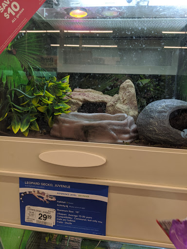 Pet Supply Store «PetSmart», reviews and photos, 5 Mystic View Rd, Everett, MA 02149, USA