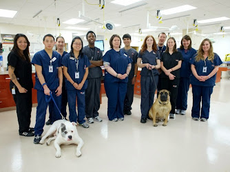 San Francisco SPCA Veterinary Hospital