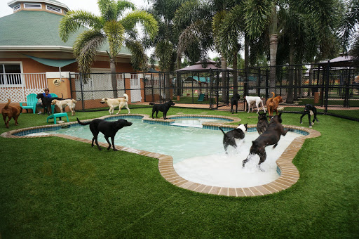 2100 S Flamingo Rd, Davie, FL 33325, USA