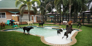 Country Inn Pet Resort & Animal Hospital