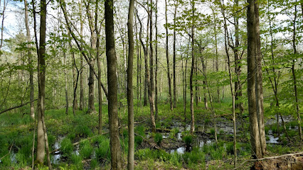 Woodland Dunes State Natural Area