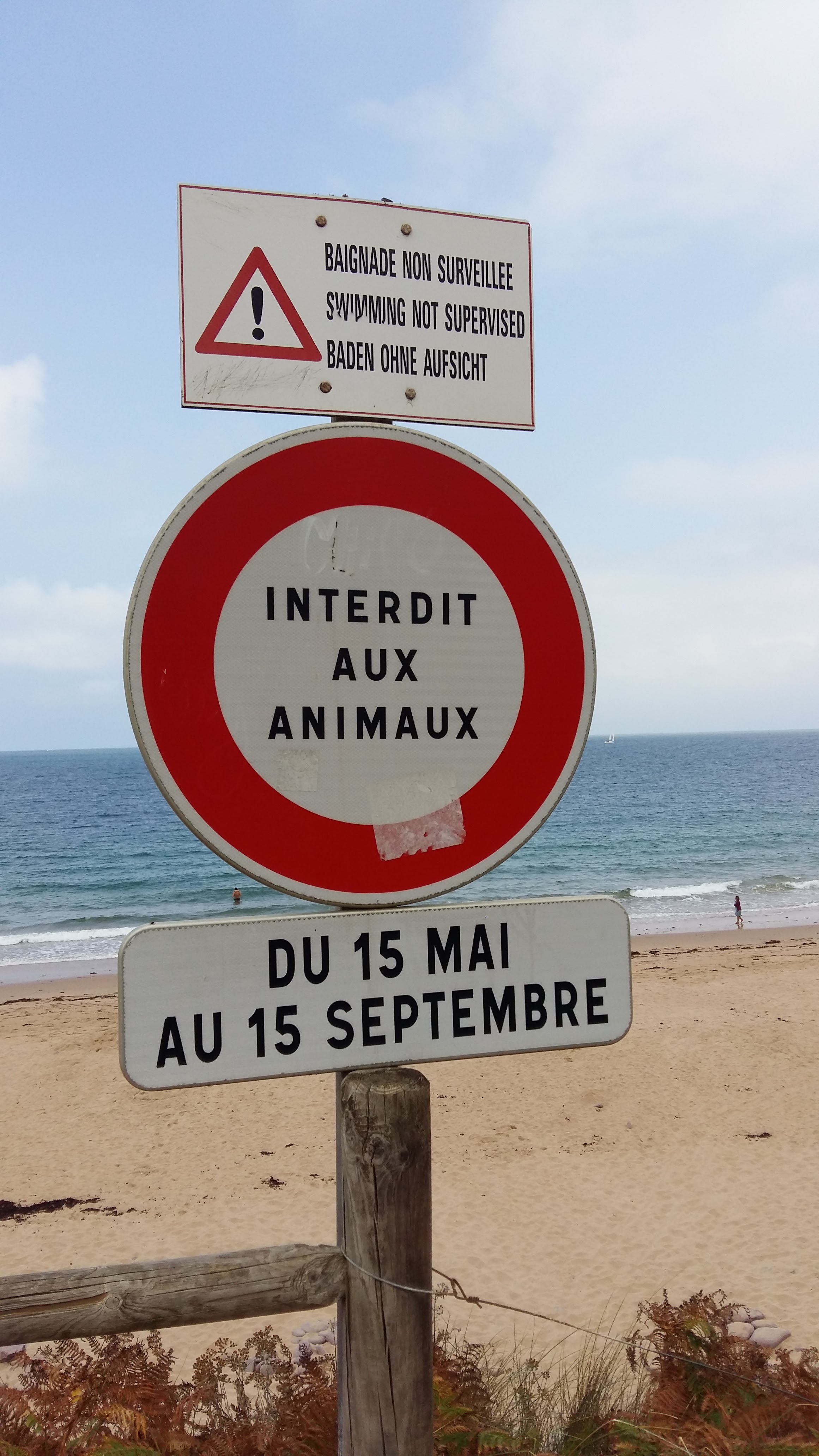 Photo n° 1 de l'avis de baloo.- fait le 23/08/2023 à 17:44