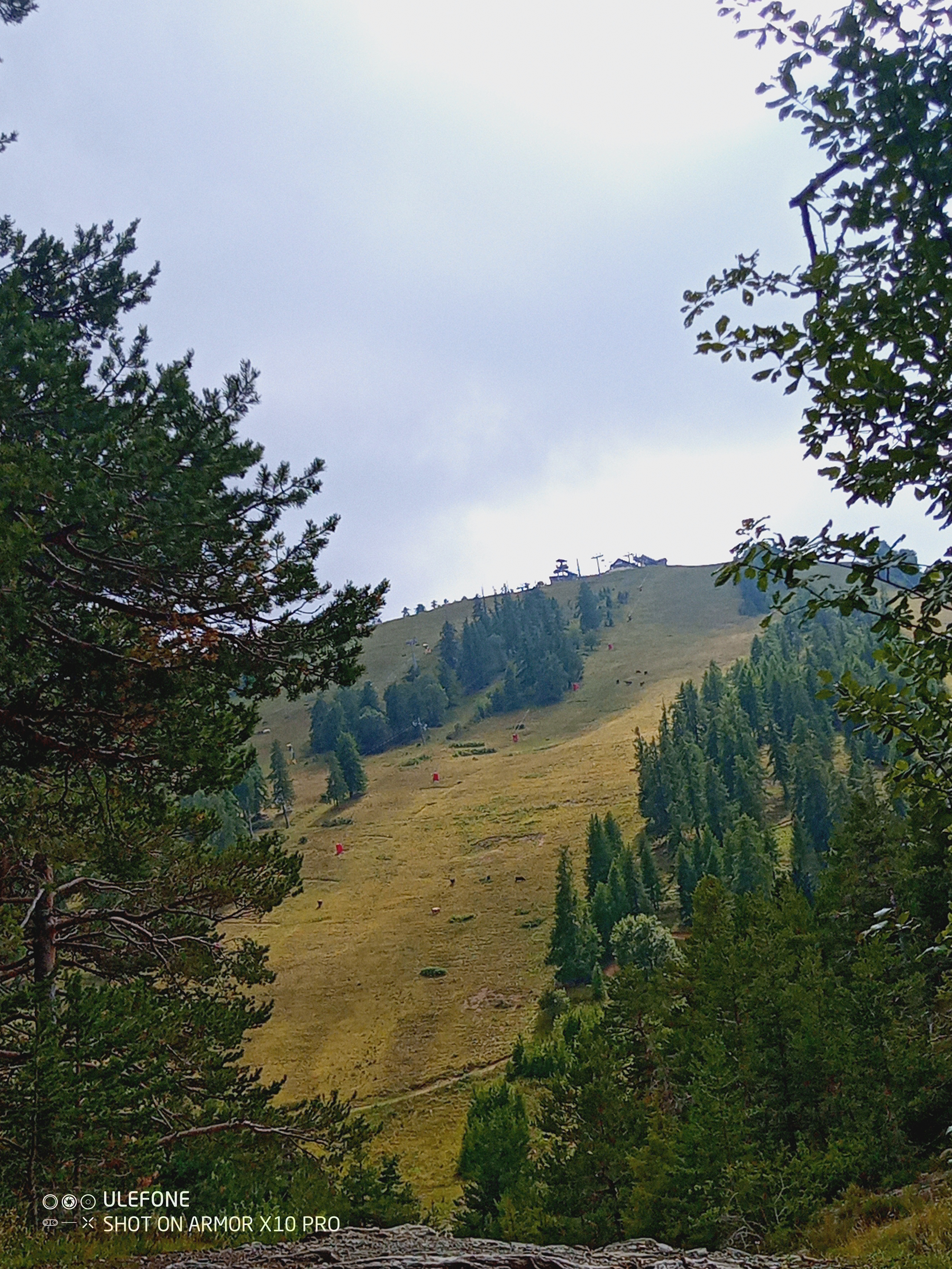 Photo n° 2 de l'avis de Amélia.h fait le 17/08/2022 à 10:31