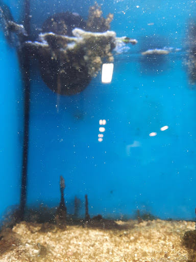 Pet Supply Store «Petco Animal Supplies», reviews and photos, 3731 Gateway Dr, Eau Claire, WI 54701, USA