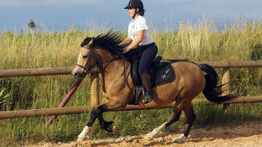 Pony Gônes à Orliénas, Rhône