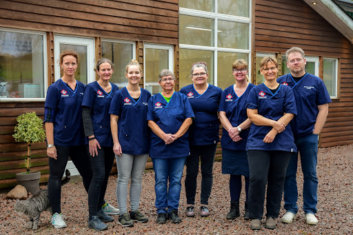 Butik Havelse Animal Clinic in Ølsted, Ølsted