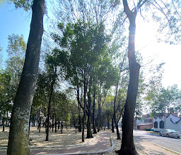 Vergel de Coyoacán Park photo