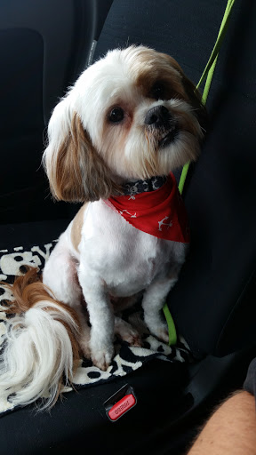 Pet Supply Store «PetSmart», reviews and photos, 1050 McKinley Pl Dr #30, San Marcos, TX 78666, USA